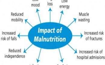 Feed Your Body and Mind | Working Together for a Healthier Life